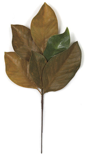 A-160040
19" Fall Magnolia Spray
