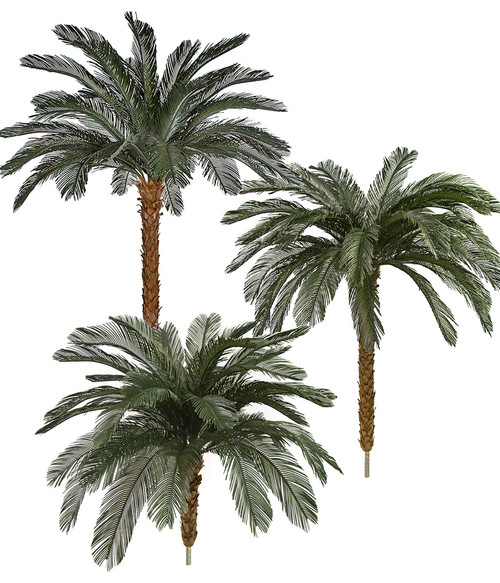 8.5', 5.5' and 4.5' Tall Palm Clusters