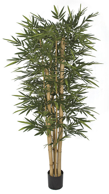 W-170300
7' Bamboo Tree with Thick/ Think Canes