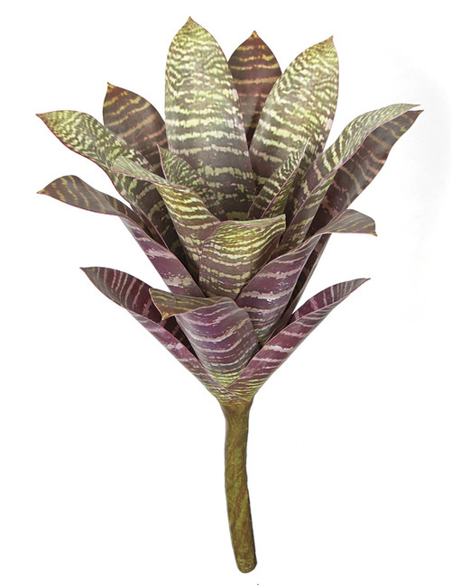 P-173665
16" Bromeliad Plant
Burgundy/Green