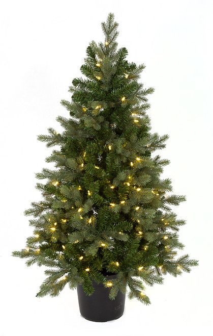 C-171724
48" Wilshire Spruce Tree
with Pot