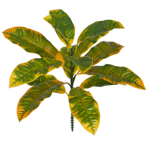 A-184010
20" Outdoor Croton Plant
Green/Yellow Mix