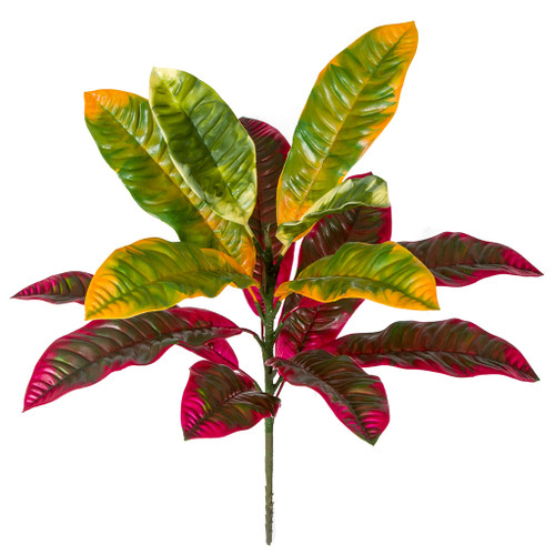 20" Outdoor Croton Plant
Red/Green