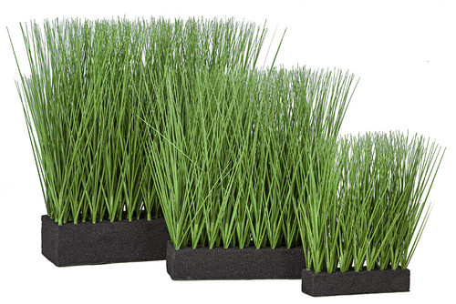 Grouping of Planted Onion Grasses - Sizes 11" Tall,  16" Tall, 19" Tall
with Rectangle Foam Bases