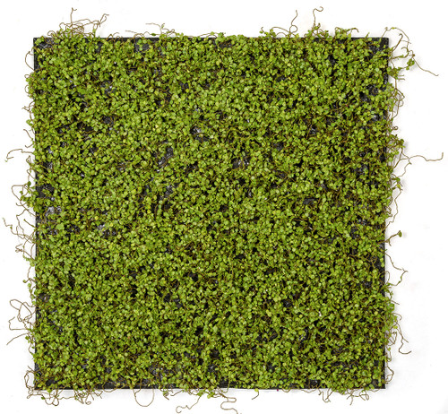 19.5" Inch x 19.5" Inch Mini Leaf Mat on Foam Back