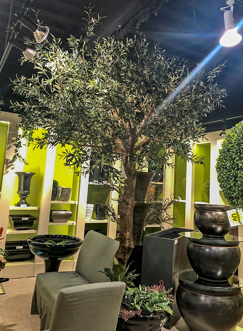 10' olive tree with PVC trunk & wood pot wholesale greenery
