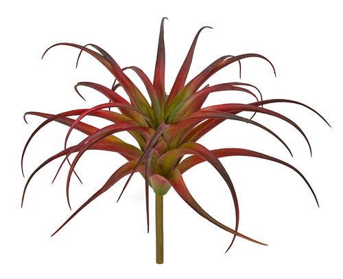 A-184340
11.5" Tillandsia Plant in Red/Green