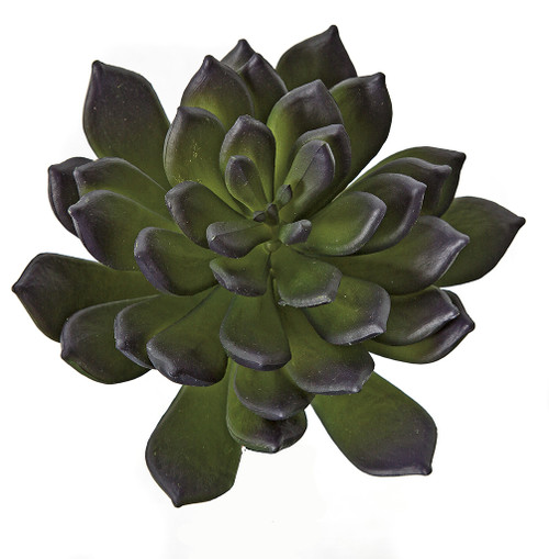 AR-175110 - Fire Retardant
7" Pachyphytum Succulent
Purple Green