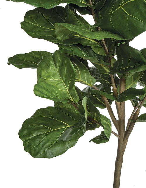 potted pothos plant Epipremnum 'Neon' main image 1