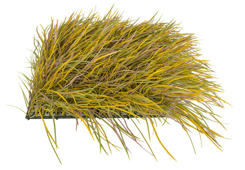 20" Square Outdoor Autumn Dune Grass 
9" Grass Length