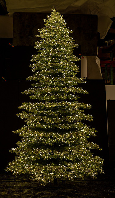 9' Flocked Highland Spruce Tree 9' Flocked Highland Spruce Tree