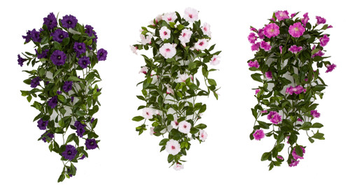 30" Petunia Bush - Purple, Pink or Lavender