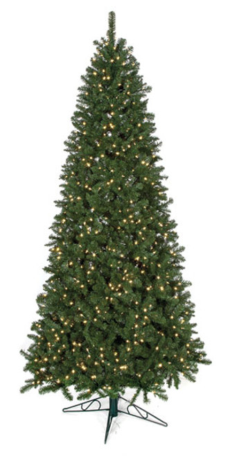 Slim Size Instant Shape Monroe Pine Trees
10'  Monroe Pine Tree
Lights Are Optional - Limited Usage