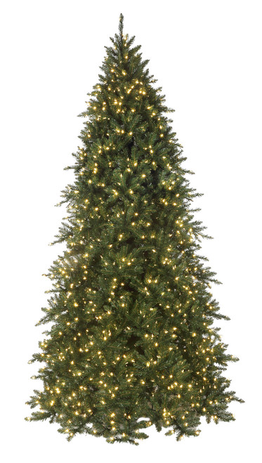 C-260904 - 10' Royal Majestic Pine