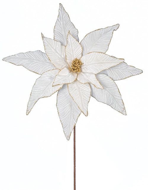 P-200380
22" Ivory Poinsettia with Gold Glitter Trim