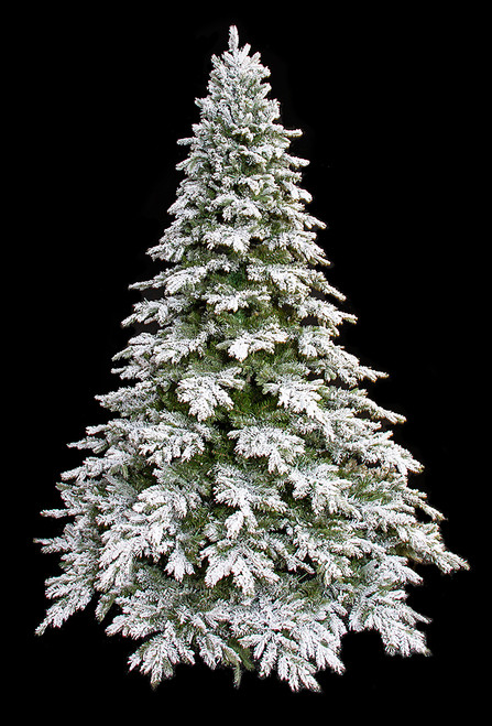 C-200390 - 9' Flocked Black Mountain Spruce - No Lights