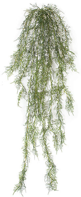 A-110505
60" Hanging Aparagus Bush A-110505
60" Hanging Aparagus Bush