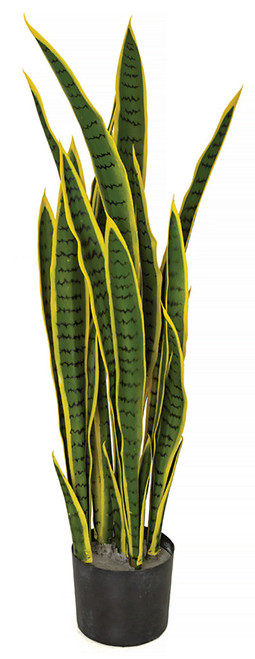 AUV-200120 - Yellow/Green
36" UV Sanseveria Plant