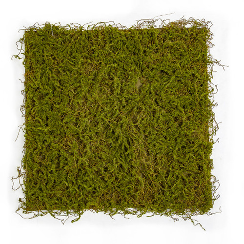 A-197460 - 20" x 20" Moss Mat A-197460 - 20" x 20" Moss Mat