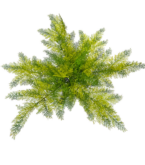 A-253112 - 27" Polyblend Spreading Juniper
Yellow/Green