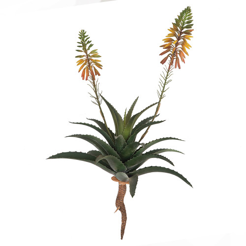 A-231390 - 22.5" Flowering Succulent