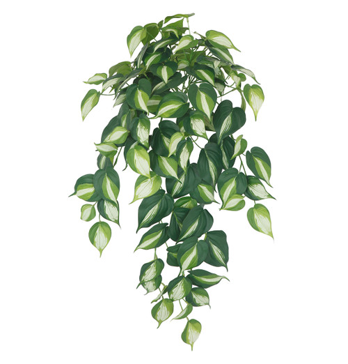 AR-252090 - FIRE RETARDANT
28" Natural Touch Philodendron Cream Splash Bush