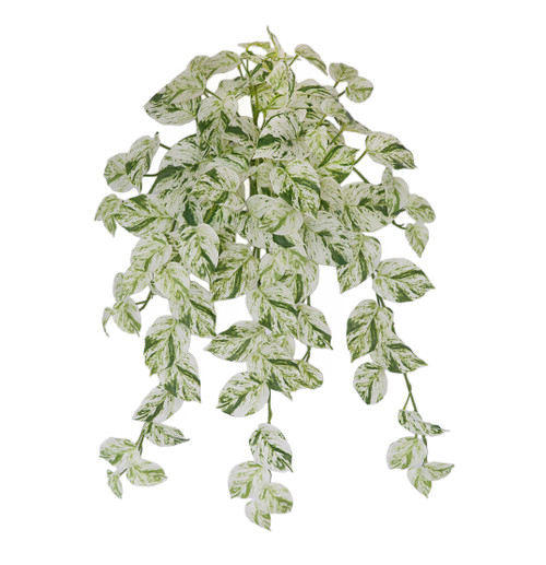 AR-252100 - Fire Retardant
26" Cream/Green Snow Queen Pothos Bush with Natural Touch IFR Leaves