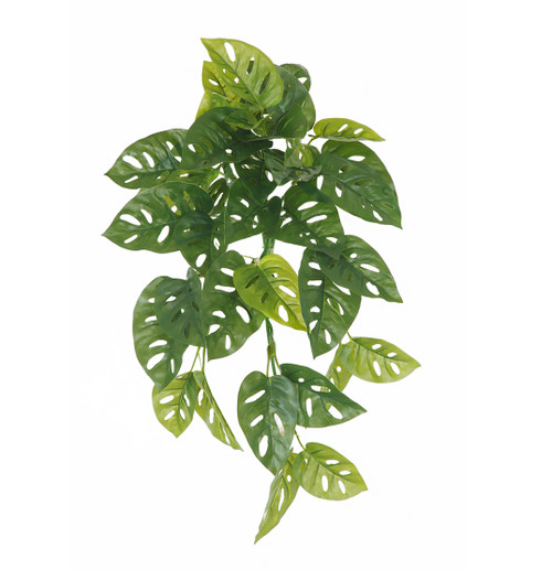 AR-252120 - FIRE RETARDANT
20" Natural Touch Monstera Bush