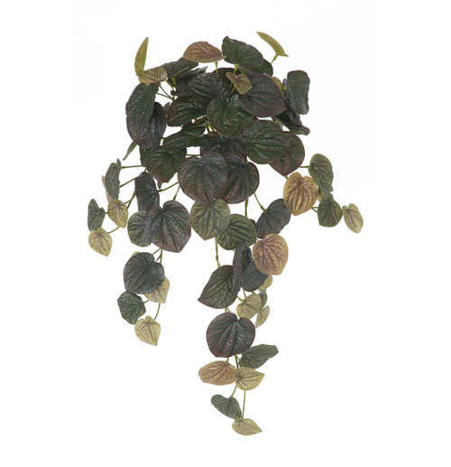 AR-252160 - FIRE RETARDANT
24" Natural Touch Peperomia Bush x 8 - Forest Green