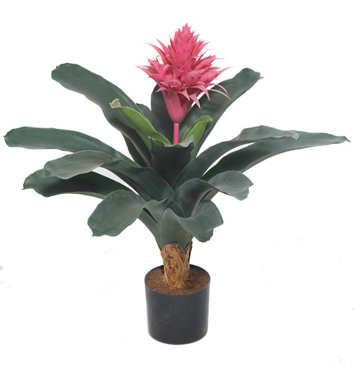 AR-251560 - FIRE RETARDANT
22" Pink Aechmea Plant