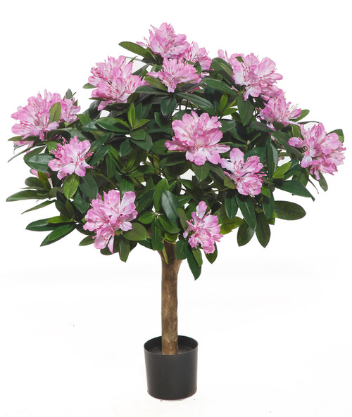32" FireSafe Pink Rhododendron Bush
