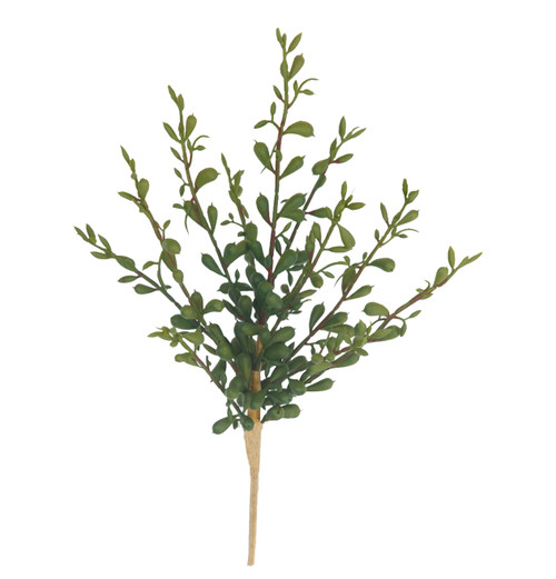 A-252290 - 11" Ht  String of Banana Succulent
Tutone Green