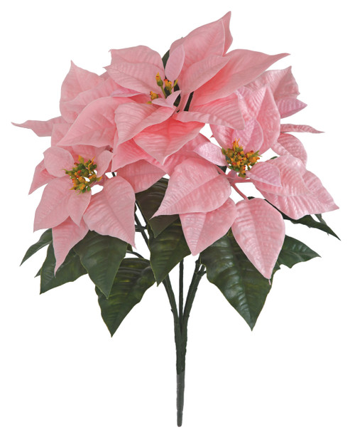 A-254002 - Pink