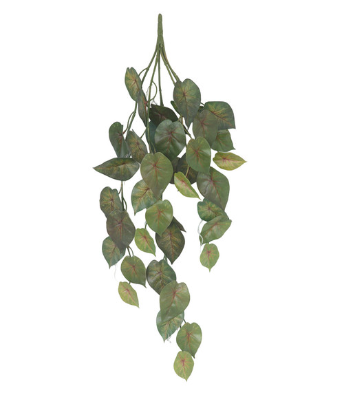 A-235040 - 28" L  Hanging Caladium Spray with Natural Touch Leaves