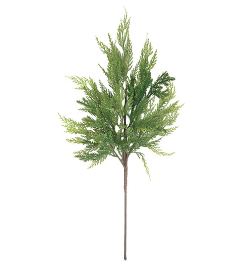 A-260810 - 24" Natural Touch Cedar Spray