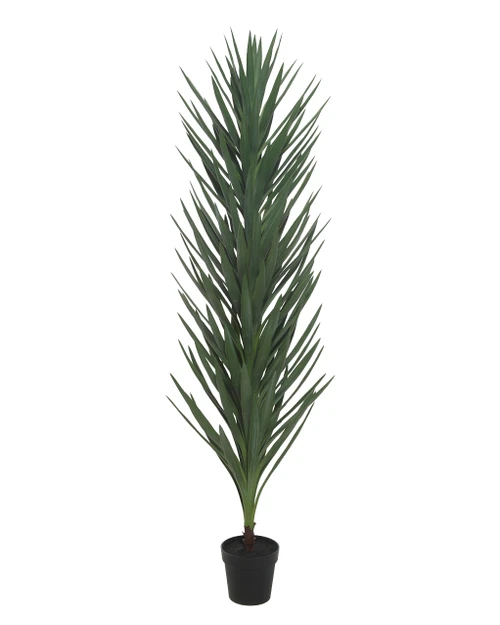 AR-252240 - 74" Yucca Plant - FIRE RETARDANT