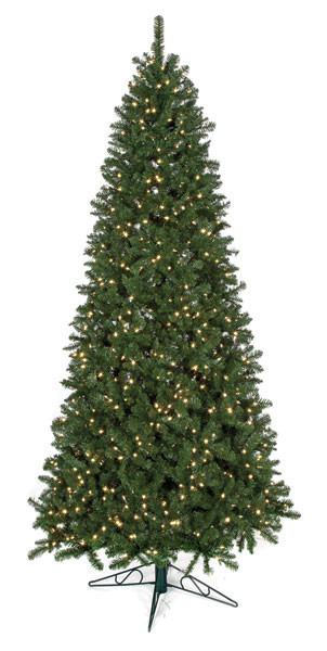 Slim Size
10'  Monroe Pine Tree
Fluff-Free