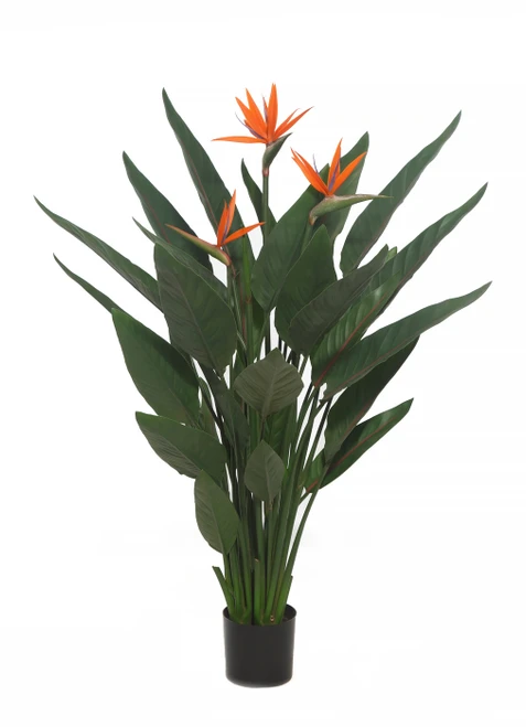 AUV-251610
52" UV Bird of Paradise Plant
