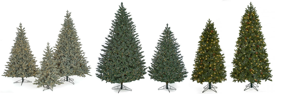 Premium Quality Christmas Trees!