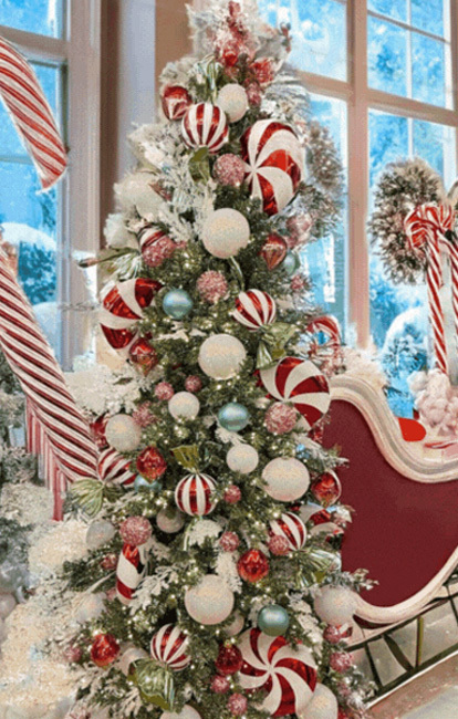 Christmas Collection