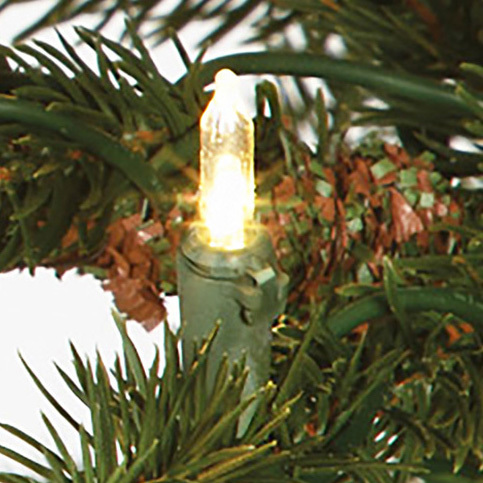 T5 LED