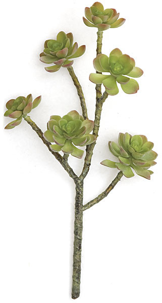17 Inch Succulent Stem - Green/Red | Autograph Foliages