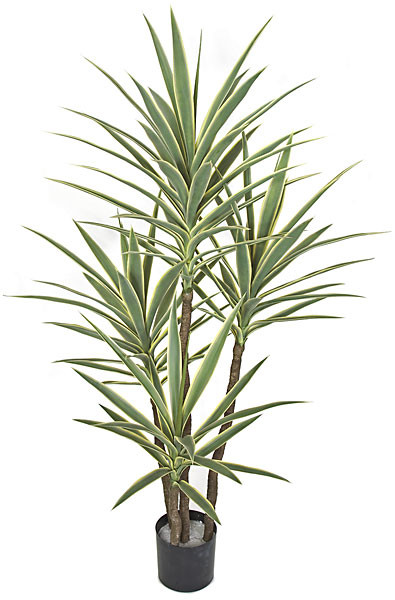 60 Inch UV Rated Yucca Plant | Autograph Foliages