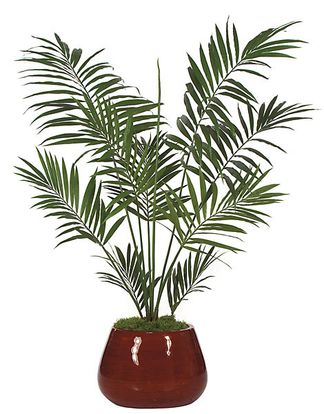 RELAX4LIFE Palma Areca Phoenix Artificiale 1,3 m, Palma Alta