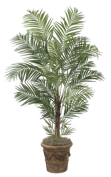 7 Foot Deluxe Areca Palm Tree | Autograph Foliages