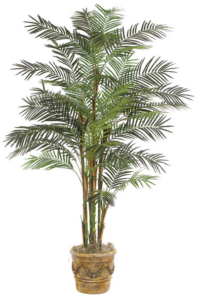 p-3772__78542.1722452542.500.