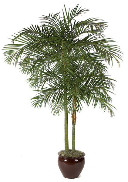 10 Foot Artificial Areca Palm Tree | Autograph Foliages
