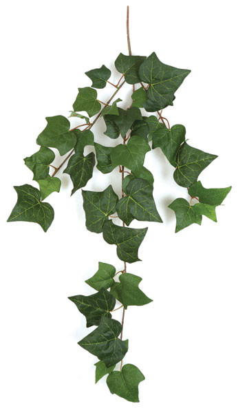 35 Inch Artificial English Ivy Vine | Autograph Foliages
