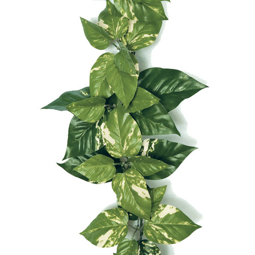 9 Foot IFR Pothos Ivy Garland Wholesale | Autograph Foliages