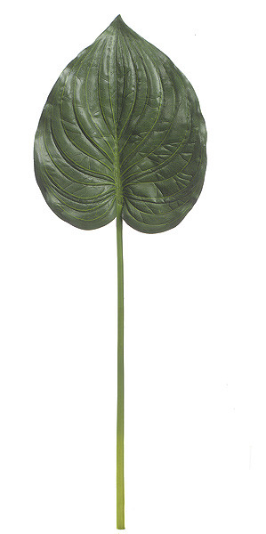 party plant Party Plant: Party in a Box!